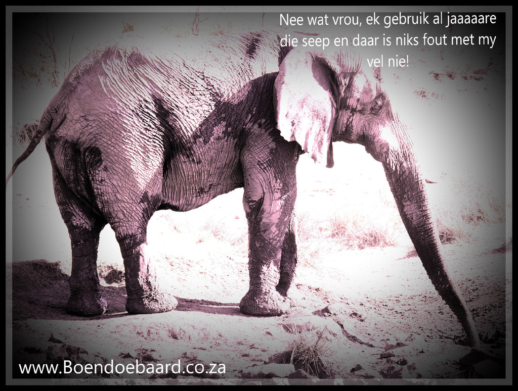 Is fênsie lyfseep vir my?