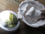 Tsitsikamma