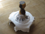 Tamboti shaving product range