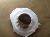 Tamboti shaving product range