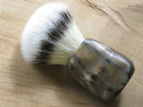 European Blesbuck  (ABB132)