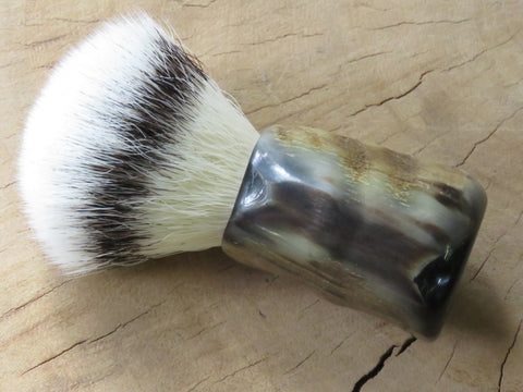 European Blesbuck  (ABB132)