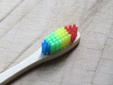 The rainbow bristle toothbrush
