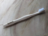 The conventional bamboo toothbrush