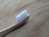 The conventional bamboo toothbrush
