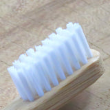 The conventional bamboo toothbrush