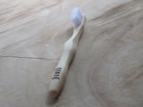 The conventional bamboo toothbrush
