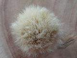 Kiaat boar brush (CB280)