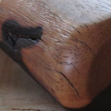 Bushveld tourist (CB282)