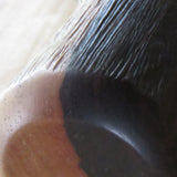 Bushveld tourist (CB282)