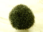 Omega '6191' Puro tasso (pure badger) brush