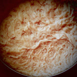 Watermelons by rail (Mutton tallow base)