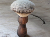 Black Bushveld Wild Olive (ABB129)