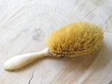 Vintage boar hair/clothes brush 1