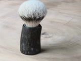 African Black Brush 41 (ABB41)