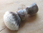 African Black Brush Kaptein Kudu (ABB65)