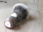 African Black Brush Kaptein Kudu (ABB65)