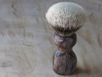 African Black Brush Kaptein Kudu (ABB65)