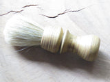 Boar in Mystery wood (CB233)