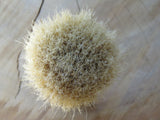 Stinky yellow (CB222)