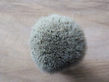 African Black Brush Sicklebush salty (ABB57)