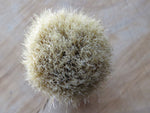 Yellow Wood and African Blackwood boar (CB226)