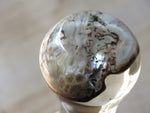 'Pearly gates' brush and bowl set (ABB79)