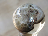 'Pearly gates' brush and bowl set (ABB79)