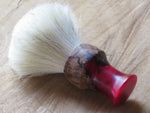 Red filly  (CB118) - Bundubeard