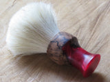 Red filly  (CB118) - Bundubeard
