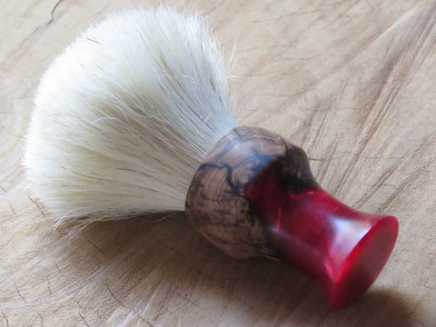 Red filly  (CB118) - Bundubeard