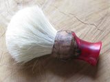 Red filly  (CB118) - Bundubeard