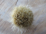 Black Loofah pig (CB223)